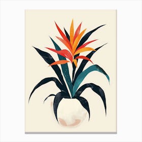 Bromeliad Plant Minimalist Illustration 6 Canvas Print