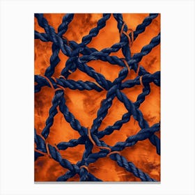 Orange And Blue Ropes Canvas Print