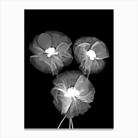 Black And White Delicate Flowers Canvas Print