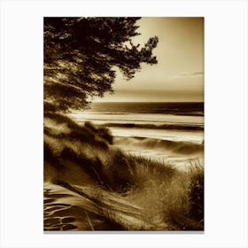 Sand Dunes 4 Canvas Print