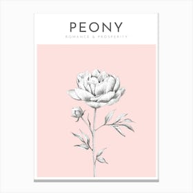 Peony Print Modern Flower Poster Bamber Prints Canvas Print