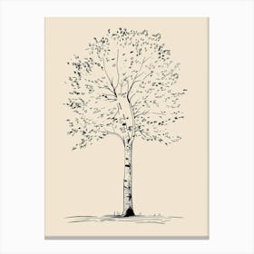 Birch Tree Minimalistic Drawing 4 Canvas Print