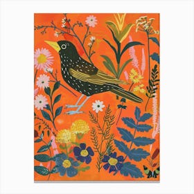 Spring Birds Cowbird 3 Canvas Print