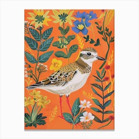 Spring Birds Grey Plover 2 Canvas Print