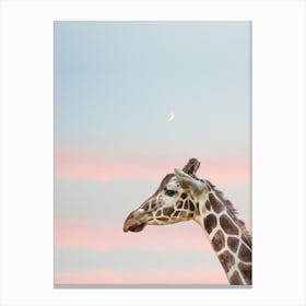 Sweet Giraffe Canvas Print