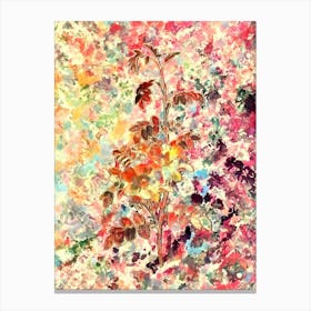 Impressionist Alpine Rose Botanical Painting in Blush Pink and Gold n.0009 Canvas Print