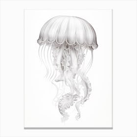 Irukandji Jellyfish Drawing 7 Canvas Print