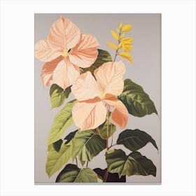 Poinsettia 1 Flower Painting Canvas Print