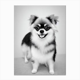 Pomeranian B&W Pencil dog Canvas Print