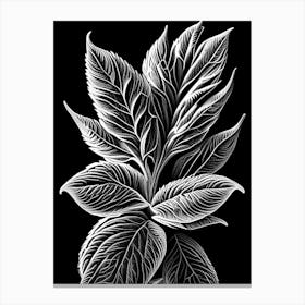 Pineapple Sage Leaf Linocut 2 Canvas Print