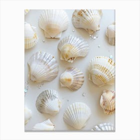 White Seashells 2 Canvas Print