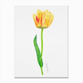 Tulip1 Canvas Print