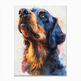 Dachshund Canvas Print