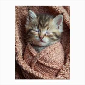 Kitten Sleeping In A Blanket Canvas Print
