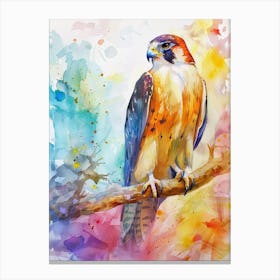 Falcon Colourful Watercolour 3 Canvas Print