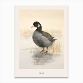 Vintage Bird Drawing Coot 3 Poster Canvas Print