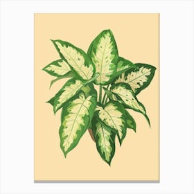 Dieffenbachia Plant Minimalist Illustration 6 Canvas Print