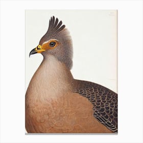 Grouse James Audubon Vintage Style Bird Canvas Print