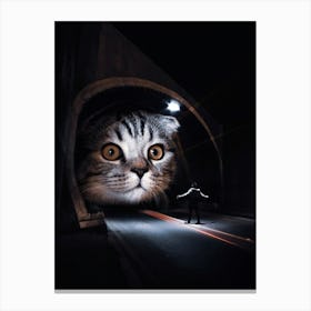 Giant Cat Play Tunnels Road Canvas Print