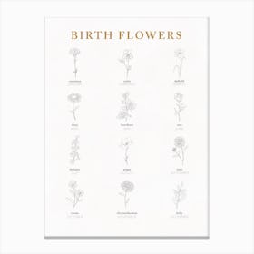 Birth Flowers Chart Canvas Print