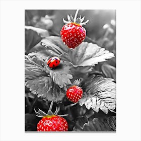 Ladybugs On Strawberries Canvas Print