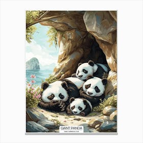 Giant Panda Family Sleeping In A Cave Poster 2 Canvas Print