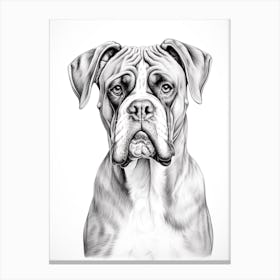 Boxer Dog, Line Drawing 7 Canvas Print