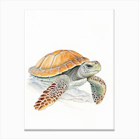 Loggerhead Sea Turtle (Caretta Caretta), Sea Turtle Pencil Illustration 1 Canvas Print