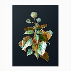 Vintage Common Ivy Botanical Watercolor Illustration on Dark Teal Blue n.0559 Canvas Print