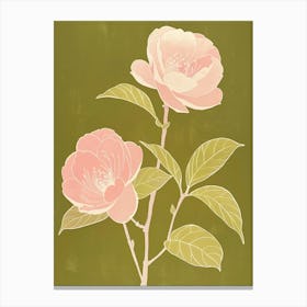 Pink & Green Camellia 2 Canvas Print