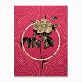 Gold Speckled Provins Rose Glitter Ring Botanical Art on Viva Magenta n.0301 Canvas Print