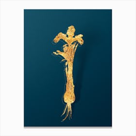 Vintage Iris Persica Botanical in Gold on Teal Blue Canvas Print