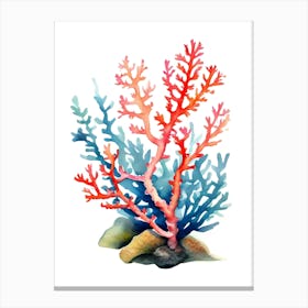 Acropora Nasuta 2 Vintage Graphic Watercolour (3) (1) Canvas Print