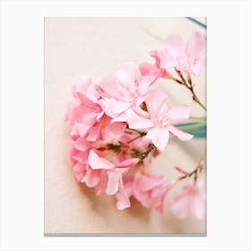 Pink Flower // Nature Photography Canvas Print