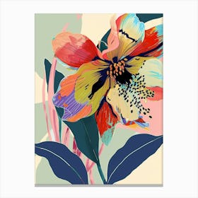 Colourful Flower Illustration Hellebore 3 Canvas Print