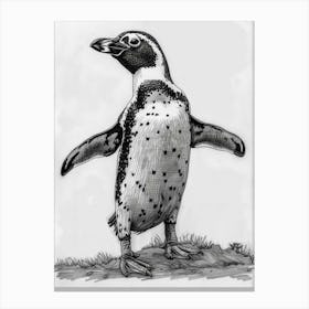 African Penguin Standing On Tiptoes 4 Canvas Print