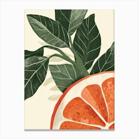 Guava Close Up Illustration 2 Canvas Print
