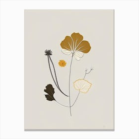 Coltsfoot Spices And Herbs Retro Minimal 5 Canvas Print