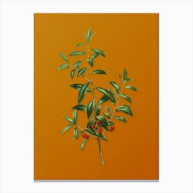 Vintage Alabama Dahoon Branch Botanical on Sunset Orange n.0187 Canvas Print