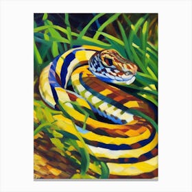 Striped Racer Painting Canvas Print