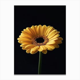 Yellow Gerbera Canvas Print