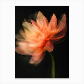 Dahlia Flower Canvas Print