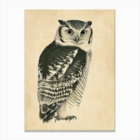 Northern Hawk Owl Vintage Illustration 2 Canvas Print