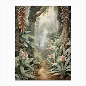 Vintage Jungle Botanical Illustration Vanilla Orchid 2 Canvas Print