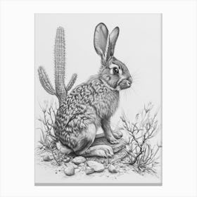 American Sable Rabbit Drawing 2 Canvas Print