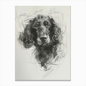 American Water Spaniel Dog Charcoal Line 3 Canvas Print