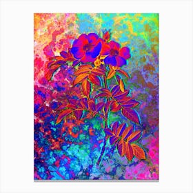 Shining Rosa Lucida Botanical in Acid Neon Pink Green and Blue n.0343 Canvas Print