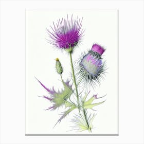 Thistle Floral Quentin Blake Inspired Illustration 2 Flower Canvas Print