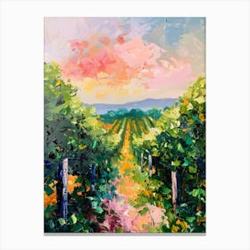 Sunset In The Vineyard Canvas Print