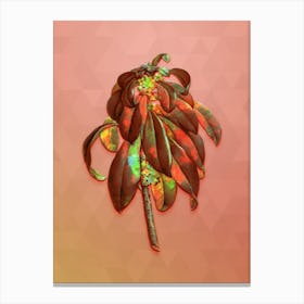 Vintage Spurge Laurel Weeds Botanical Art on Peach Pink n.0740 Canvas Print